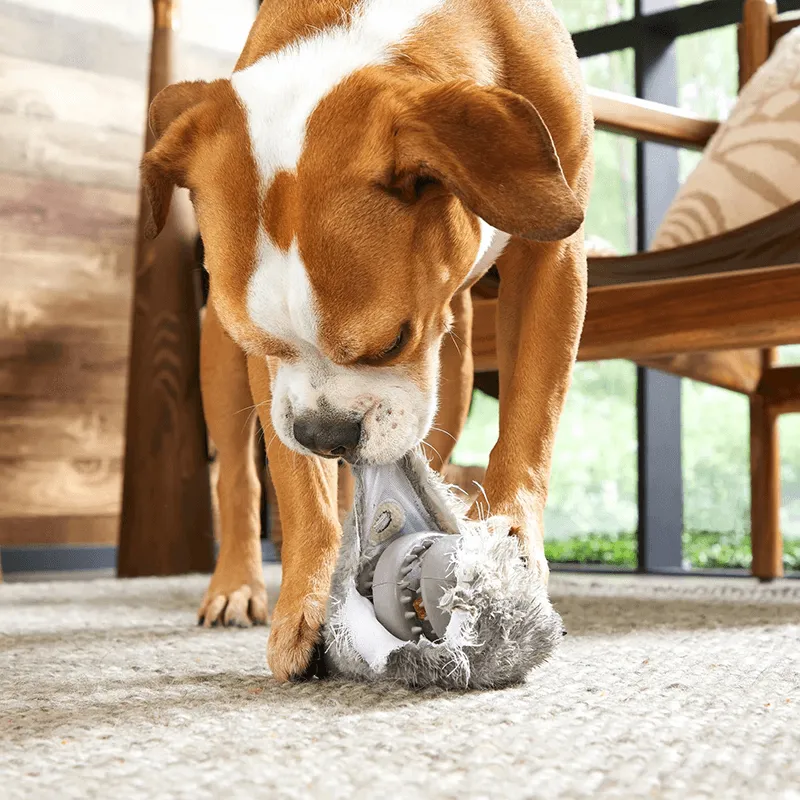 BARK Super Chewer Hare Raiser