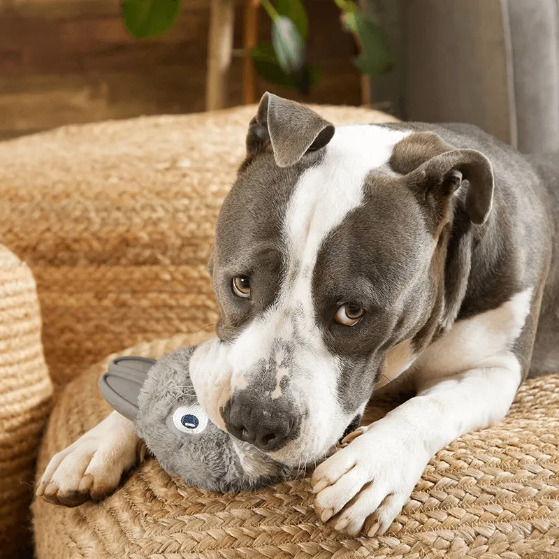 BARK Super Chewer Hare Raiser