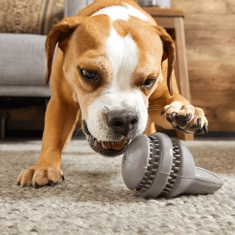 BARK Super Chewer Hare Raiser