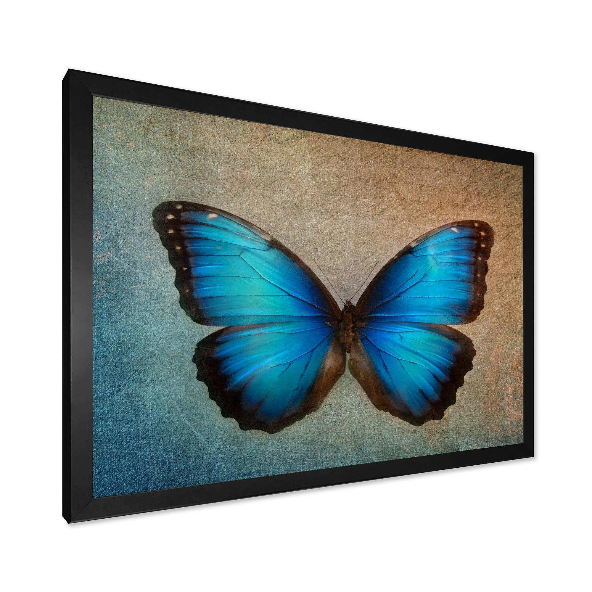 Blue Vintage Butterfly