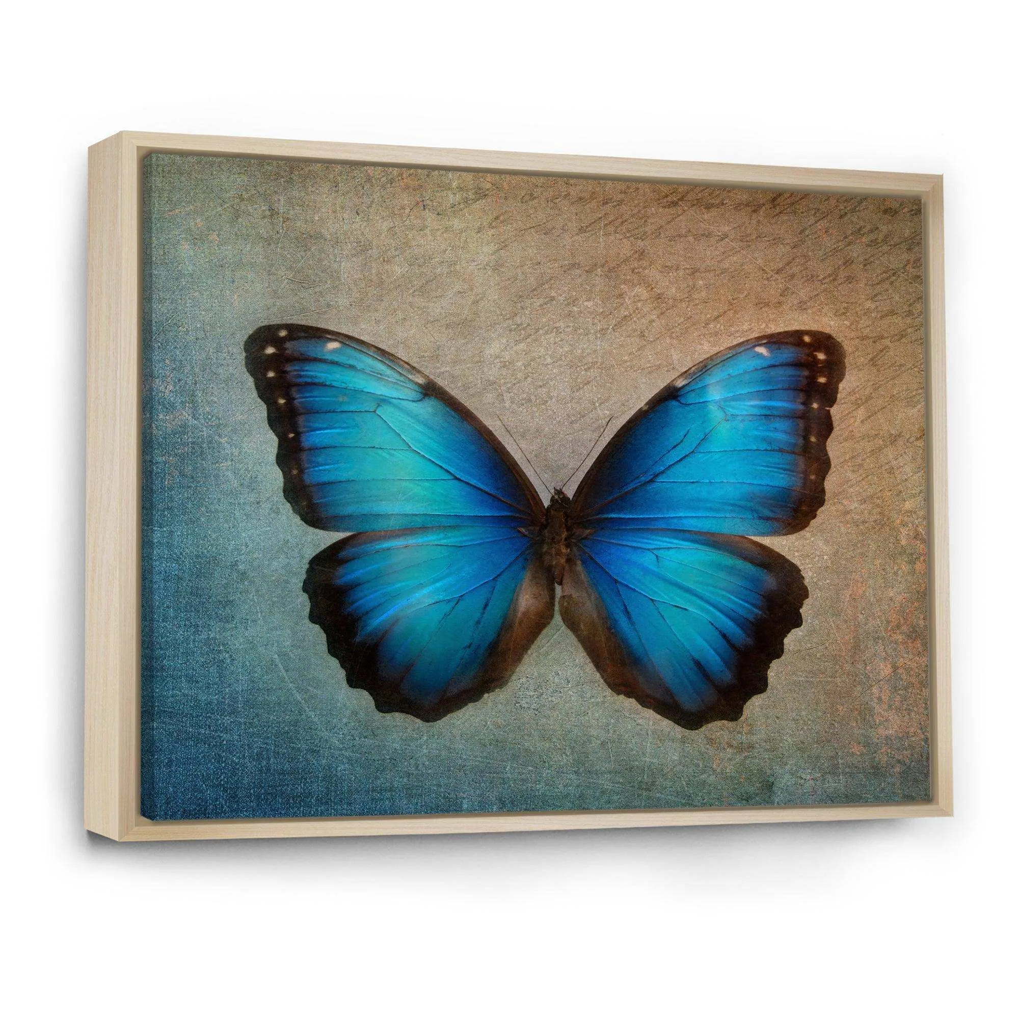 Blue Vintage Butterfly