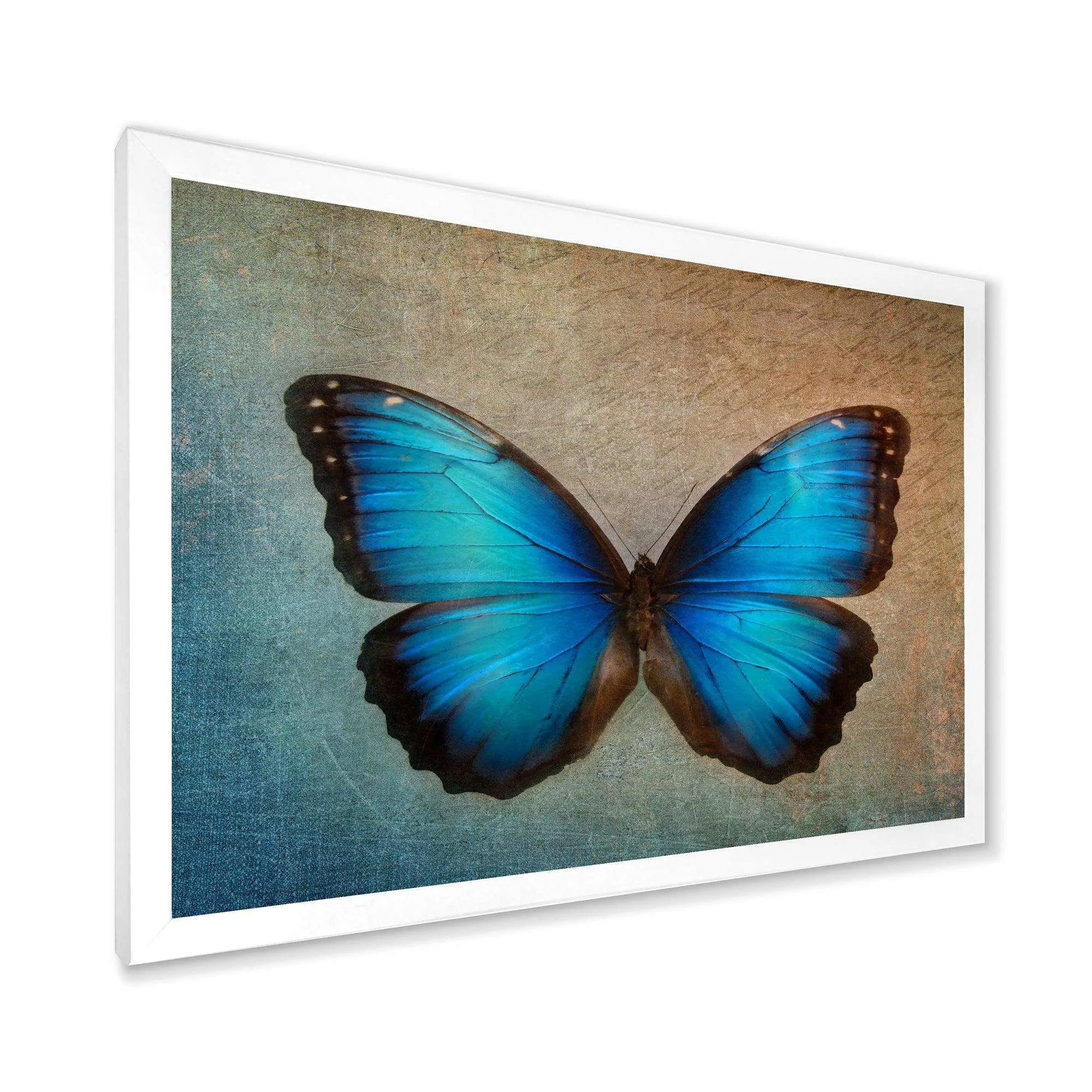 Blue Vintage Butterfly