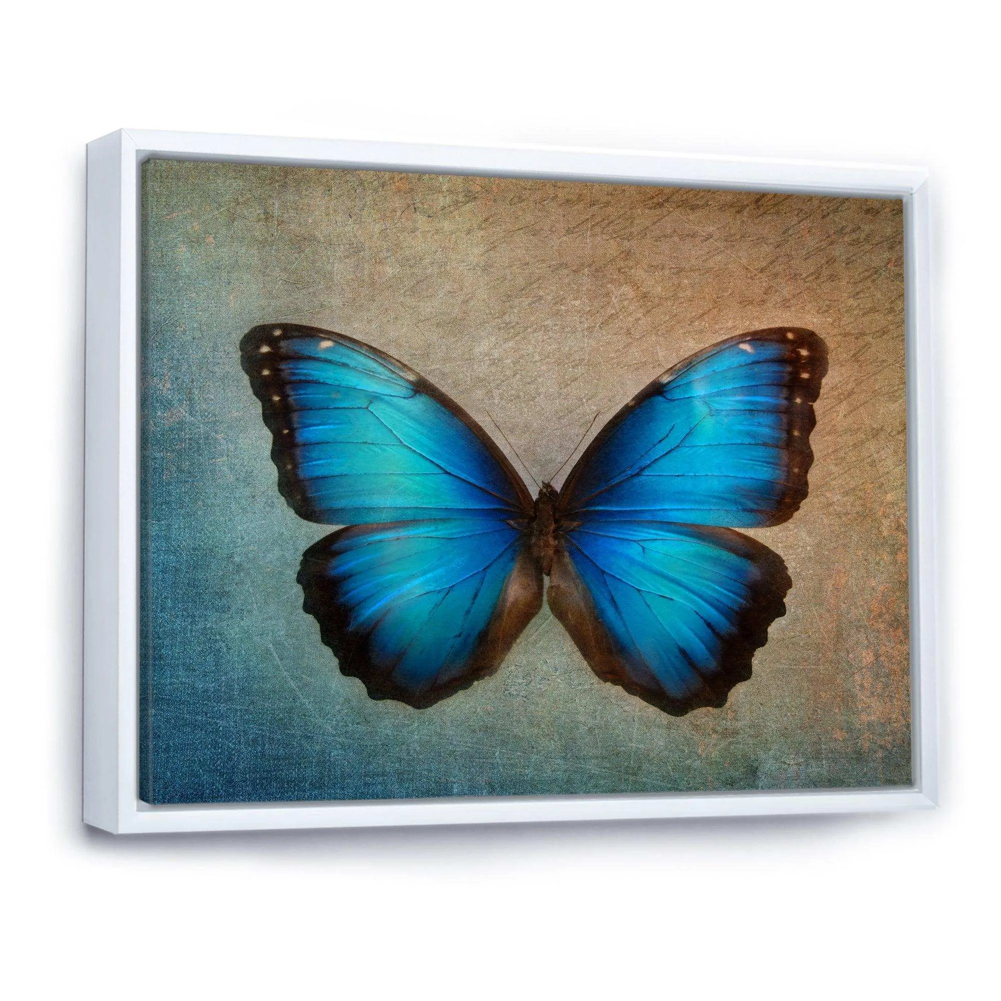 Blue Vintage Butterfly