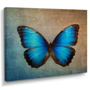 Blue Vintage Butterfly