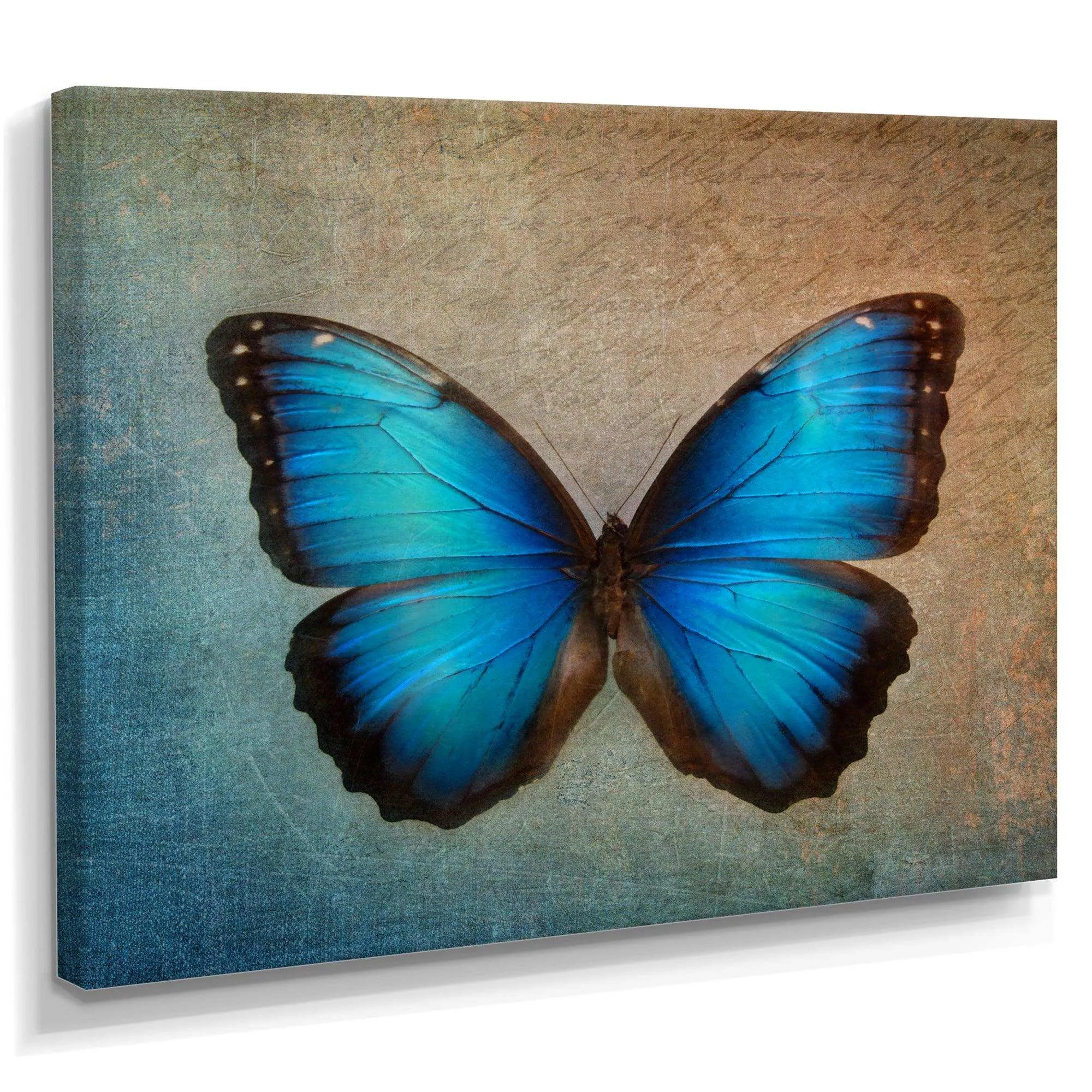 Blue Vintage Butterfly