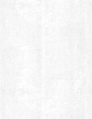 Canvas Texture 3023-39851-100 White on White