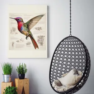 Drawings Hummingbirds 07 Da Vinci Style Vintage Framed Canvas Prints Wall Art Hanging Home Decor