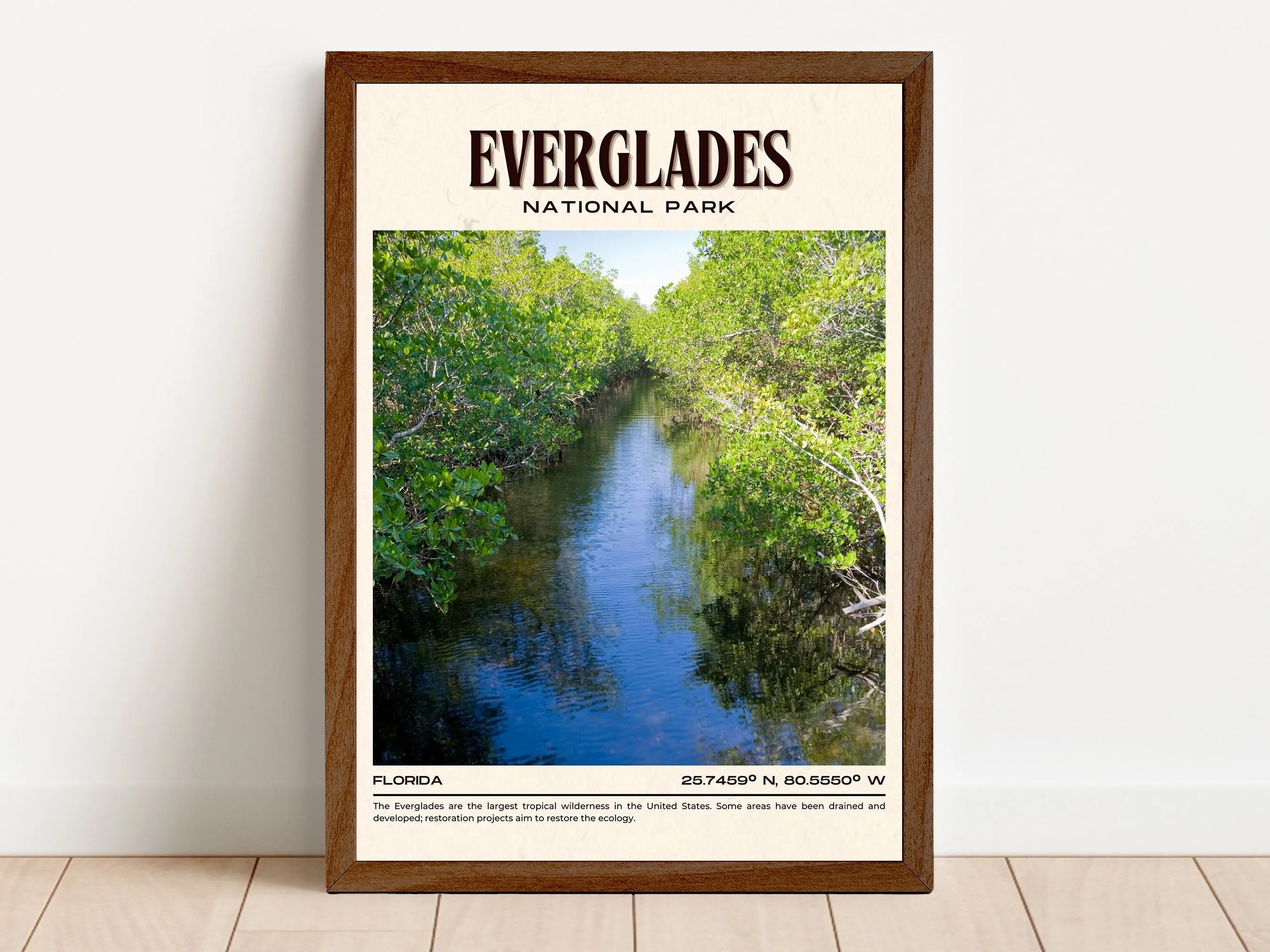 Everglades National Park Vintage Wall Art, Florida, USA