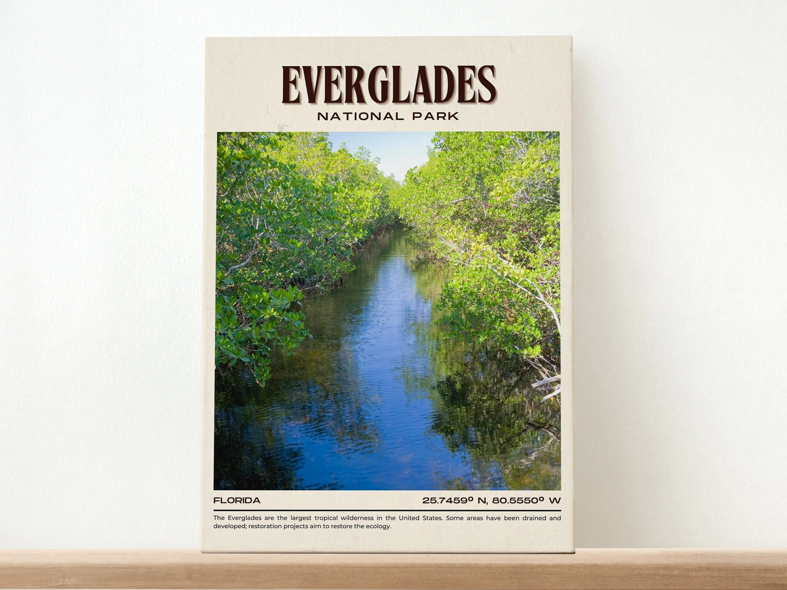 Everglades National Park Vintage Wall Art, Florida, USA