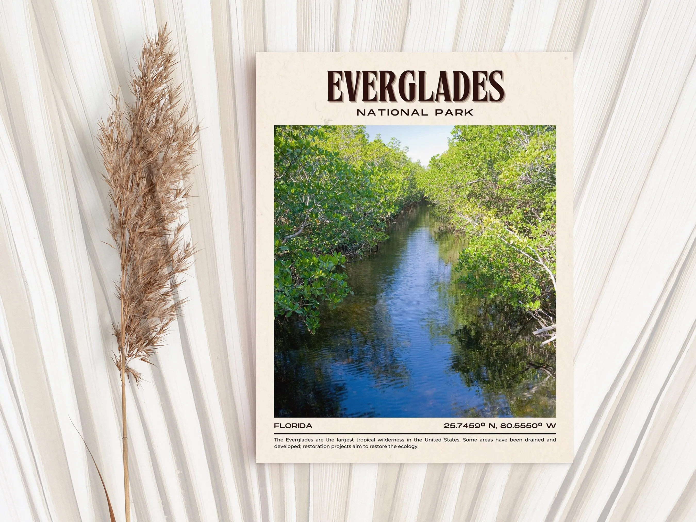 Everglades National Park Vintage Wall Art, Florida, USA