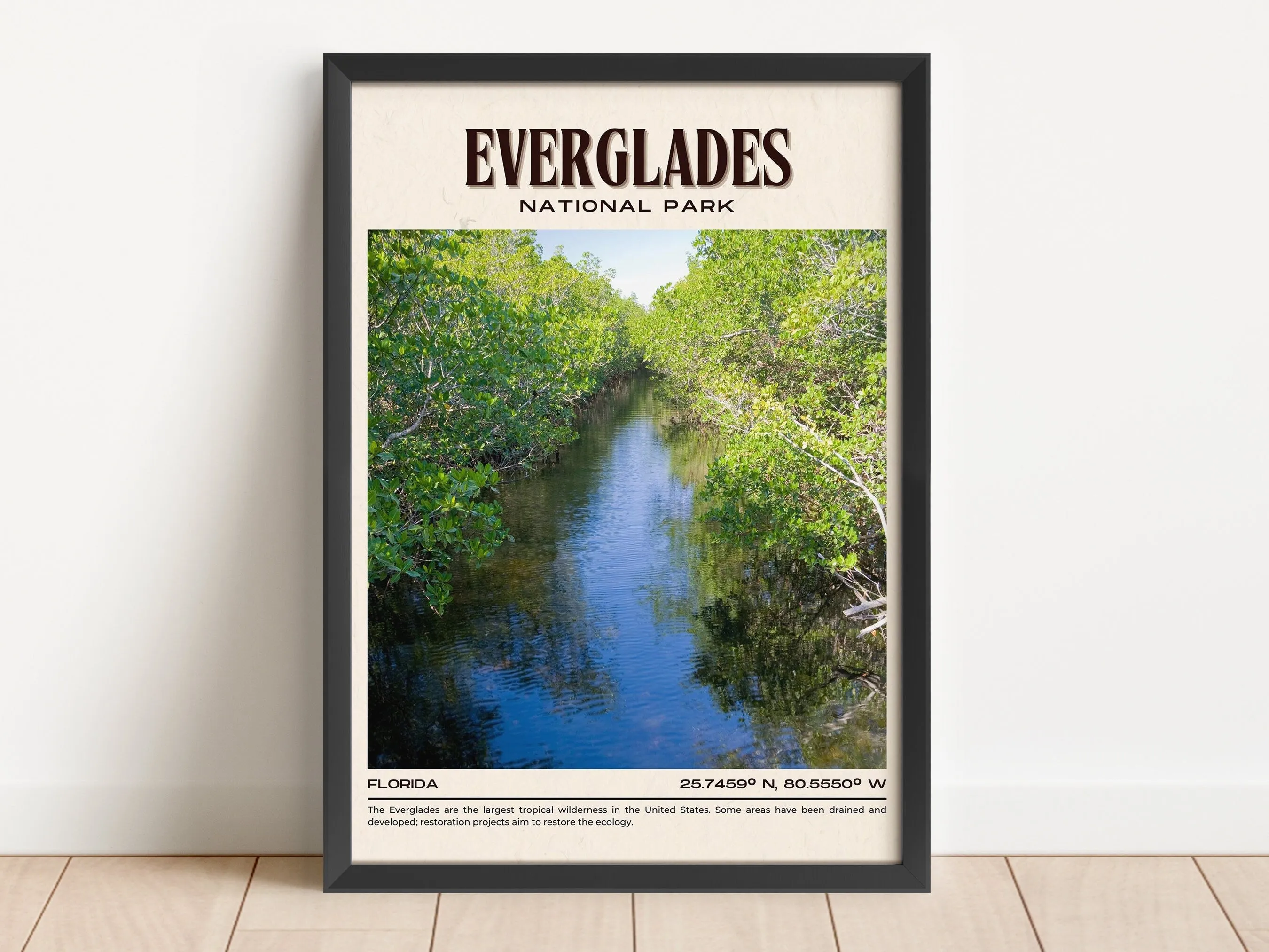 Everglades National Park Vintage Wall Art, Florida, USA