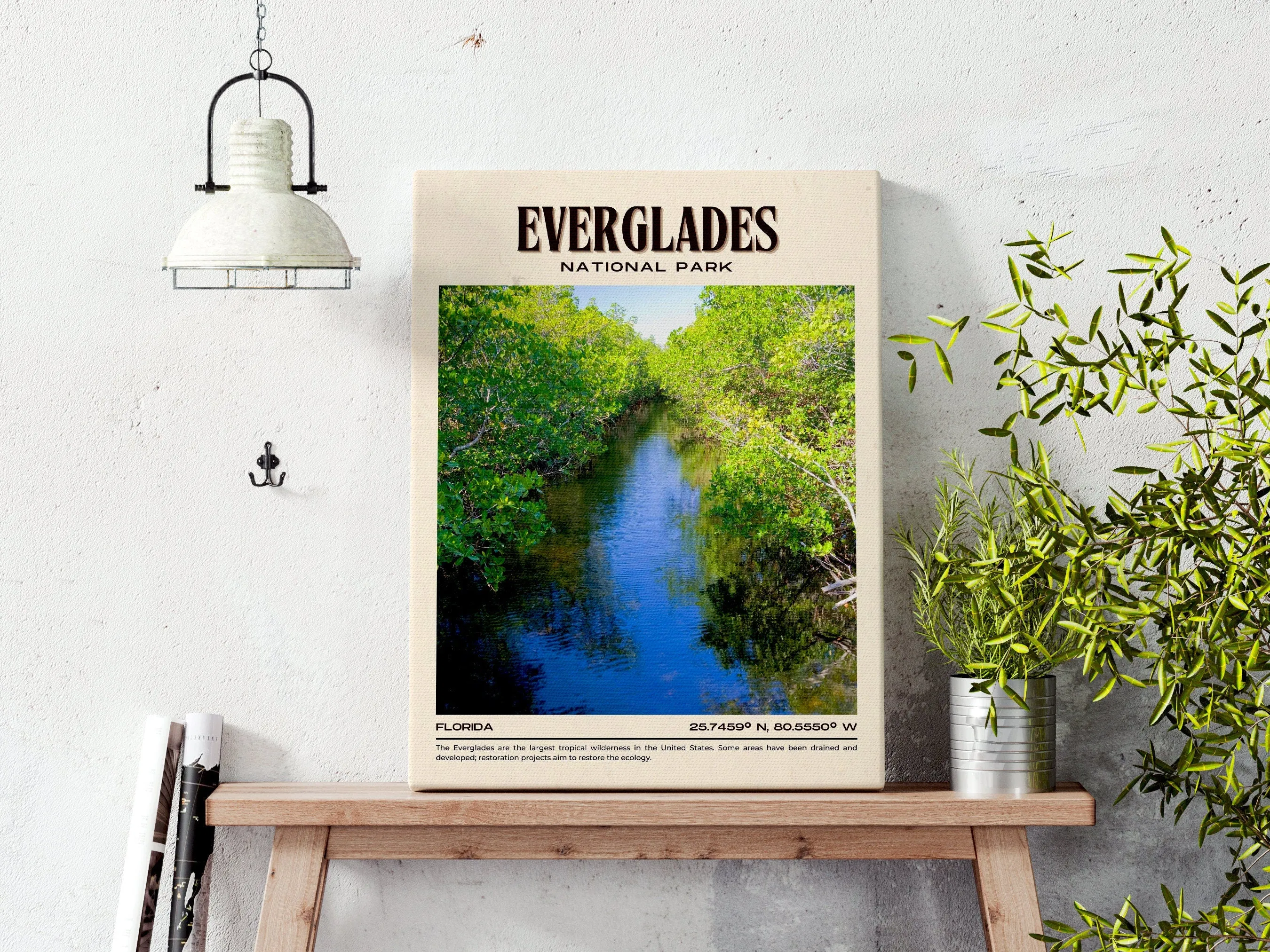 Everglades National Park Vintage Wall Art, Florida, USA