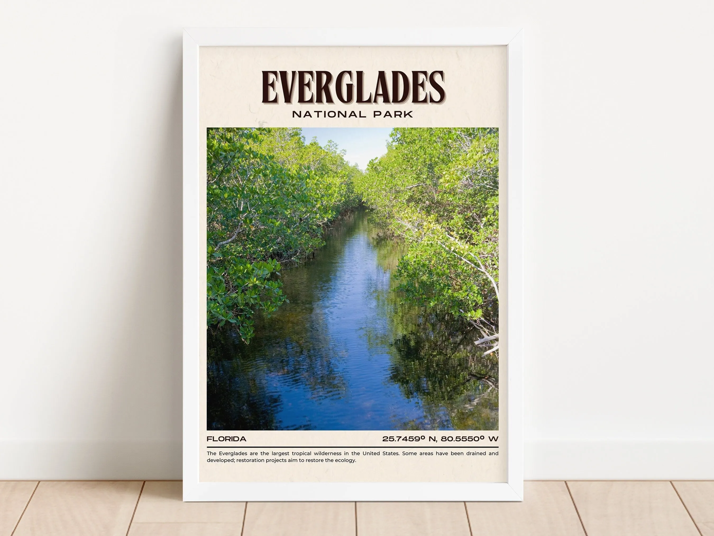 Everglades National Park Vintage Wall Art, Florida, USA
