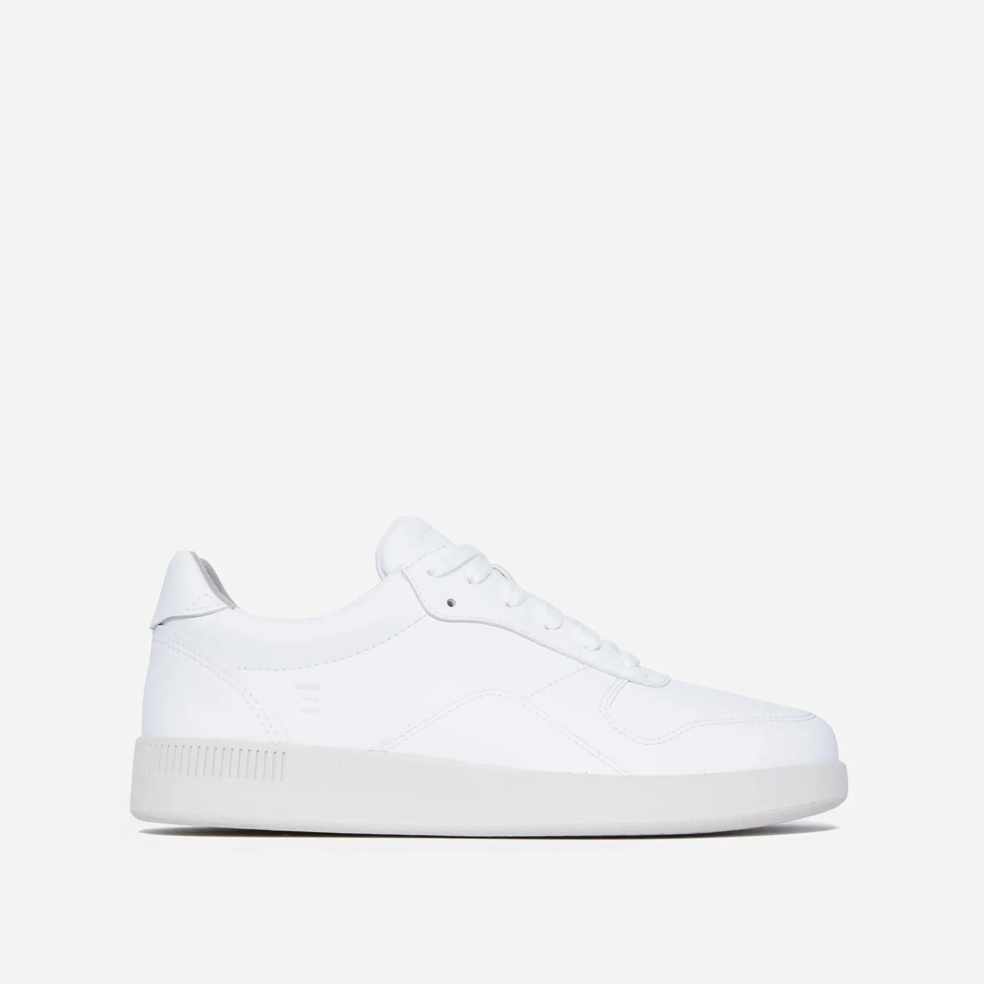 Everlane Court Sneakers