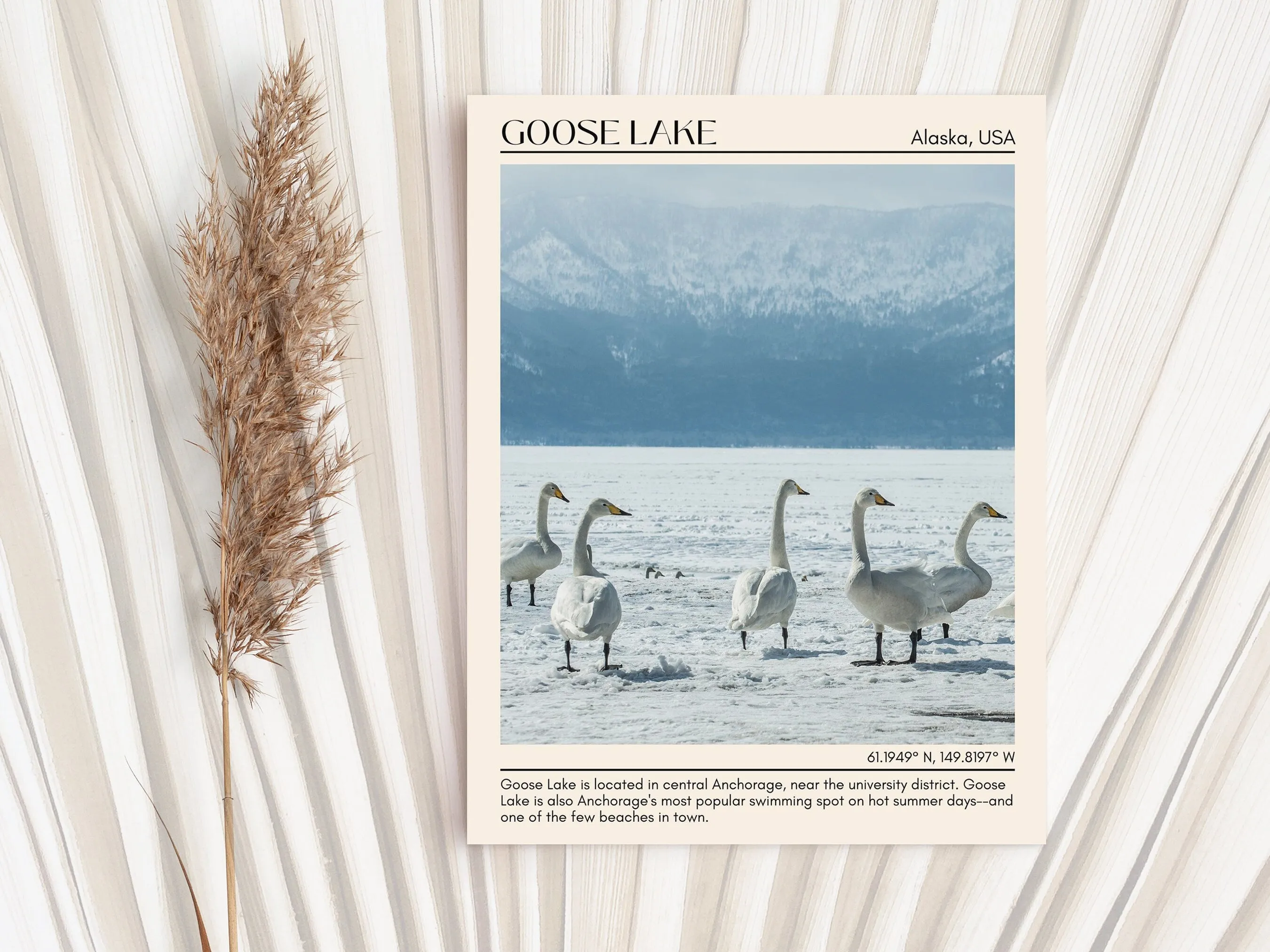 Goose Lake Wall Art Canvas, USA