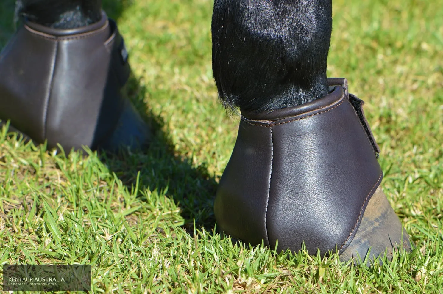 Kentaur 'Premium Anatomic' Leather Bell Boots