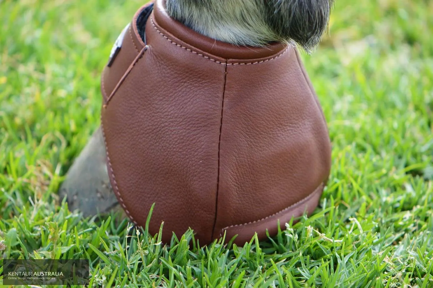 Kentaur 'Premium Anatomic' Leather Bell Boots