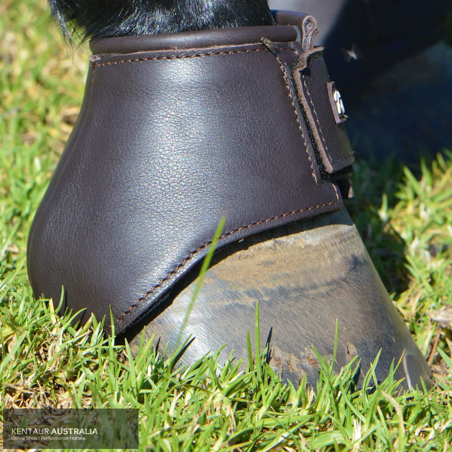 Kentaur 'Premium Anatomic' Leather Bell Boots