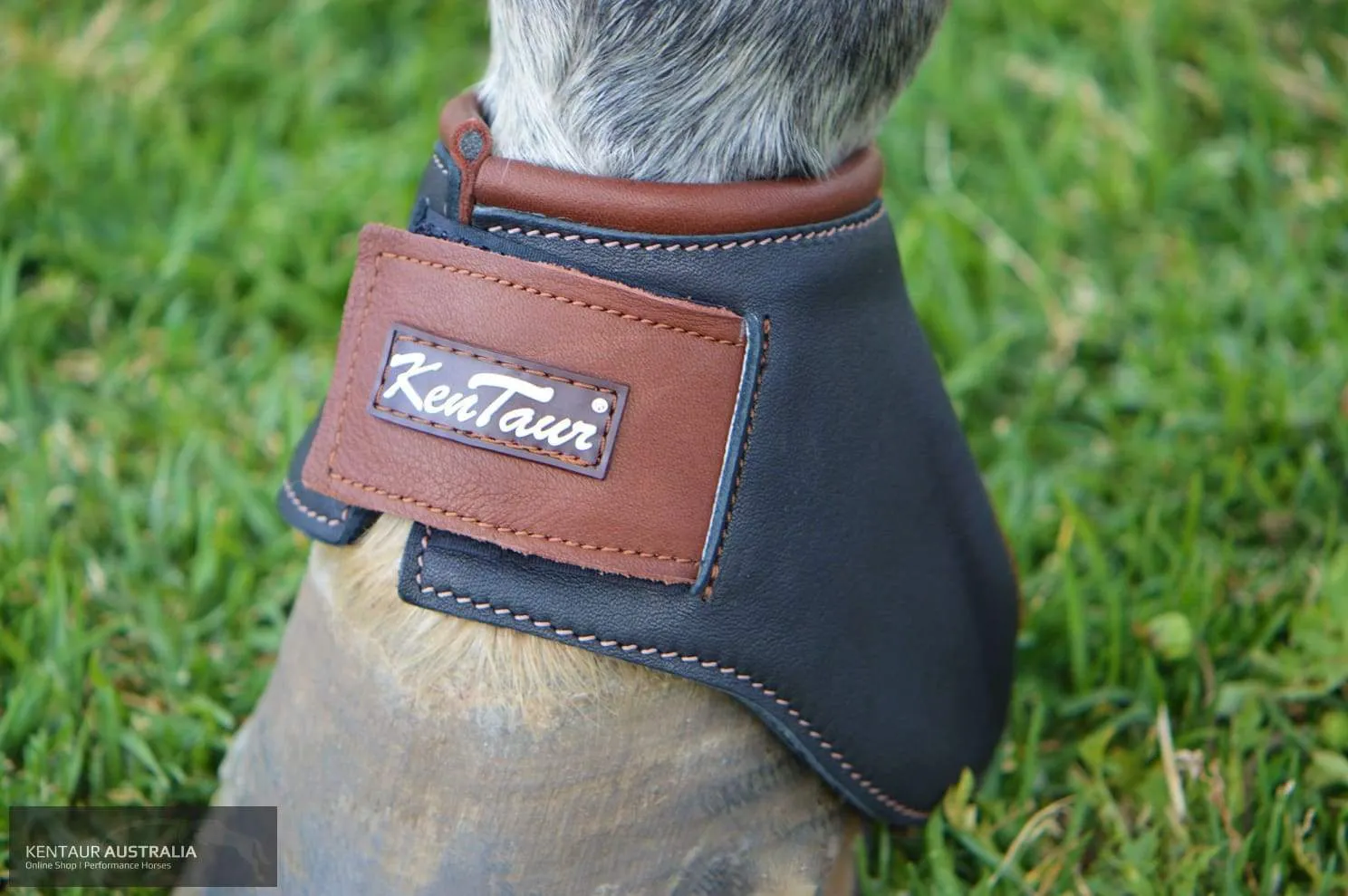 Kentaur 'Premium Anatomic' Leather Bell Boots