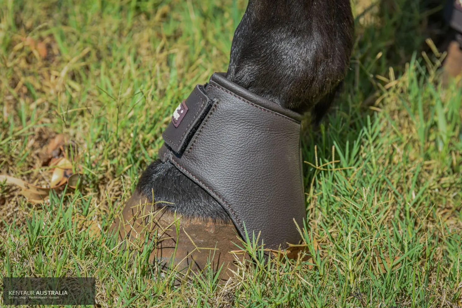 Kentaur 'Premium Anatomic' Leather Bell Boots