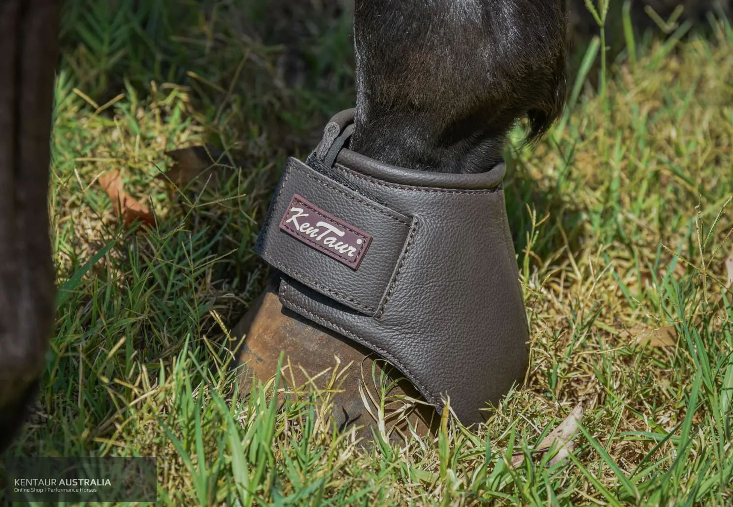 Kentaur 'Premium Anatomic' Leather Bell Boots