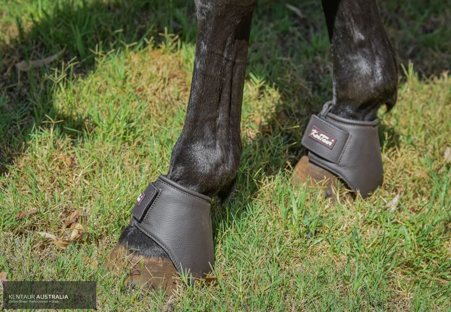 Kentaur 'Premium Anatomic' Leather Bell Boots