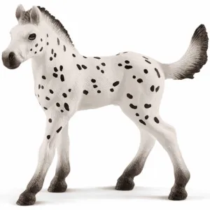 Knapstrupper Foal