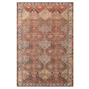 Loren Spice/Multi Rug