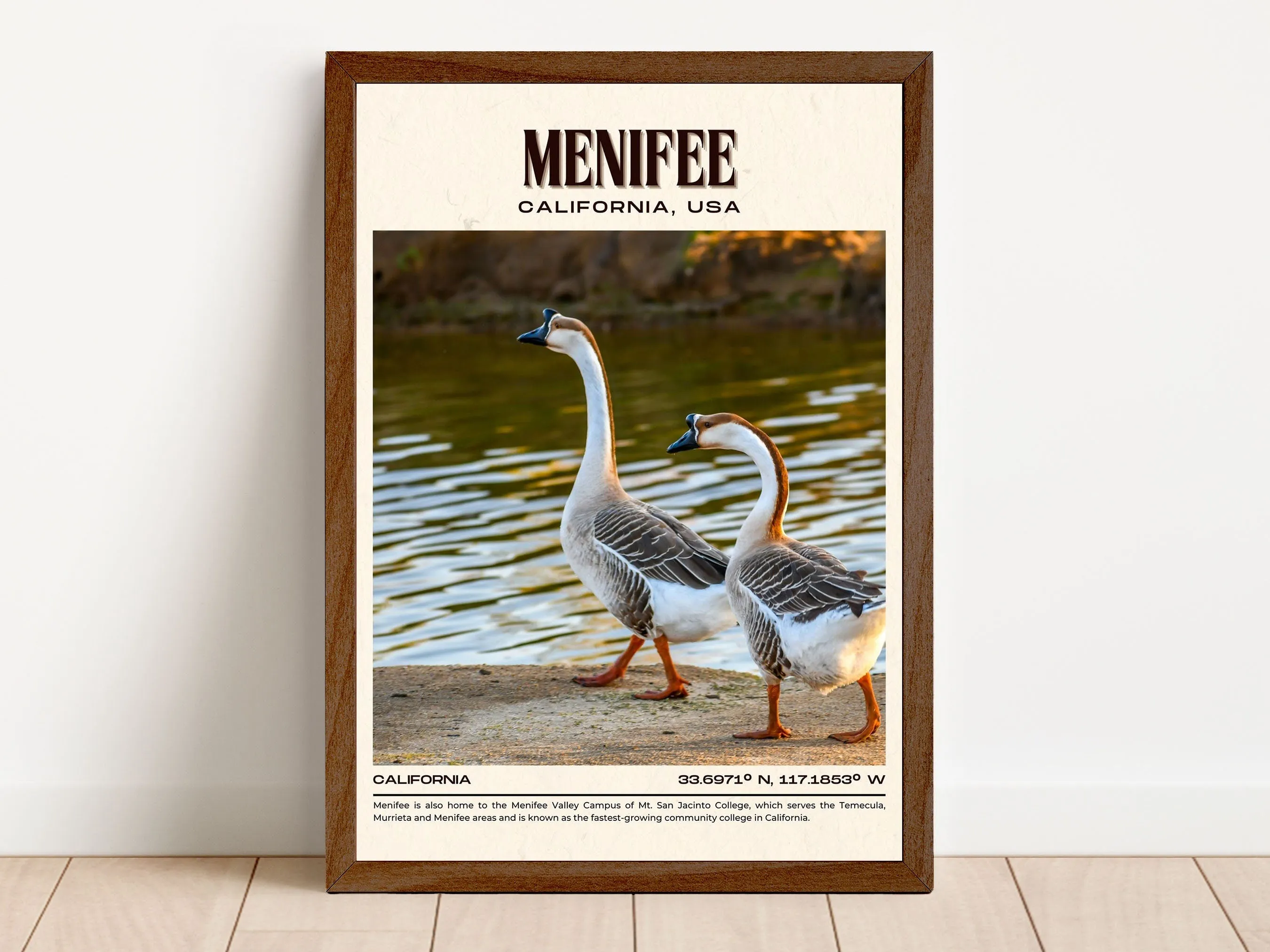 Menifee Vintage Wall Art, California, USA