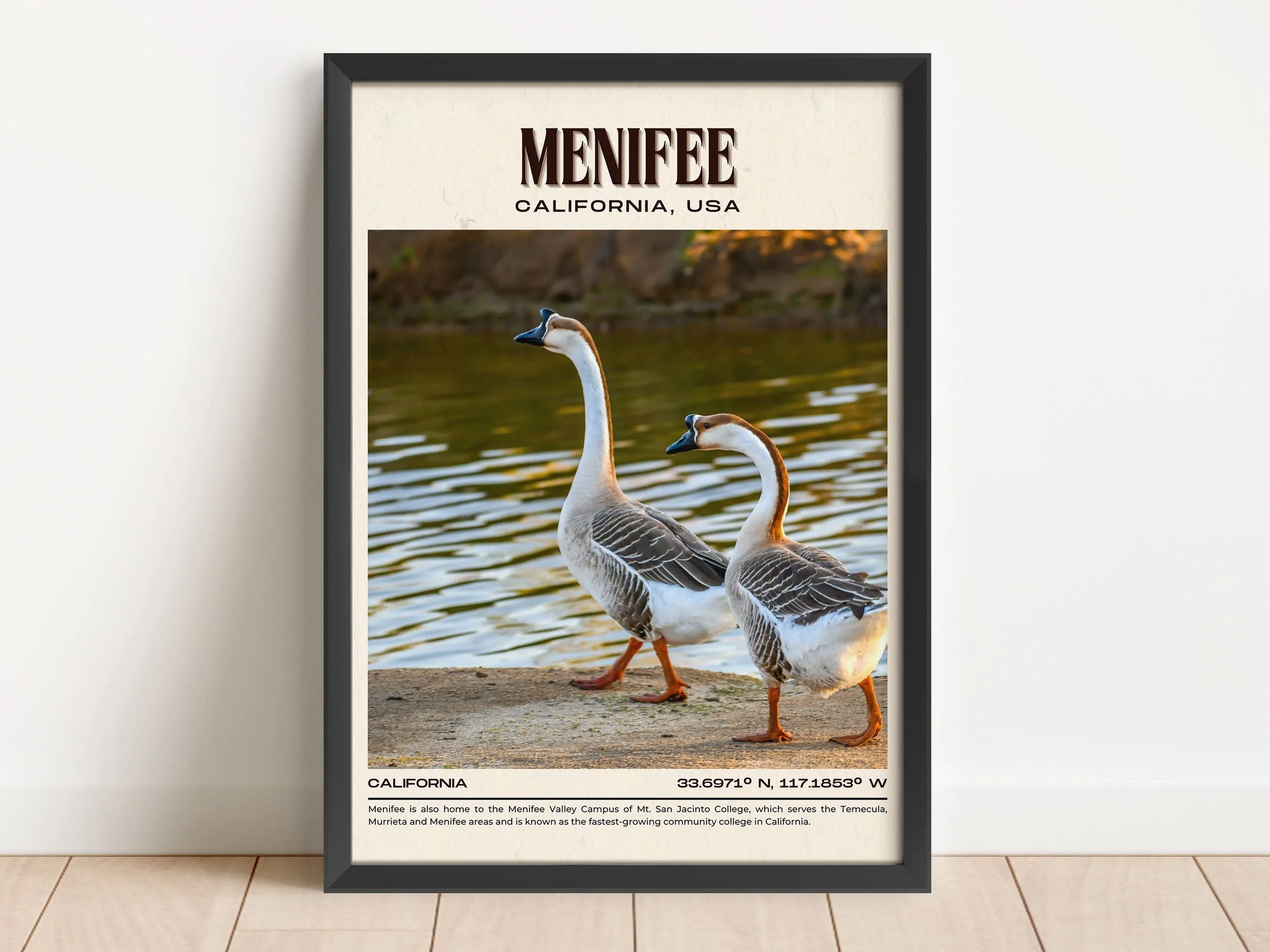 Menifee Vintage Wall Art, California, USA