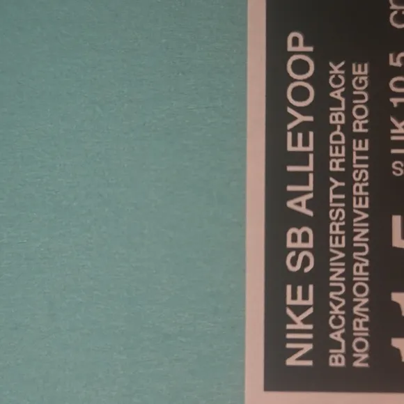 New Nike SB  Alleyoop sizes 11.5,12 and 13