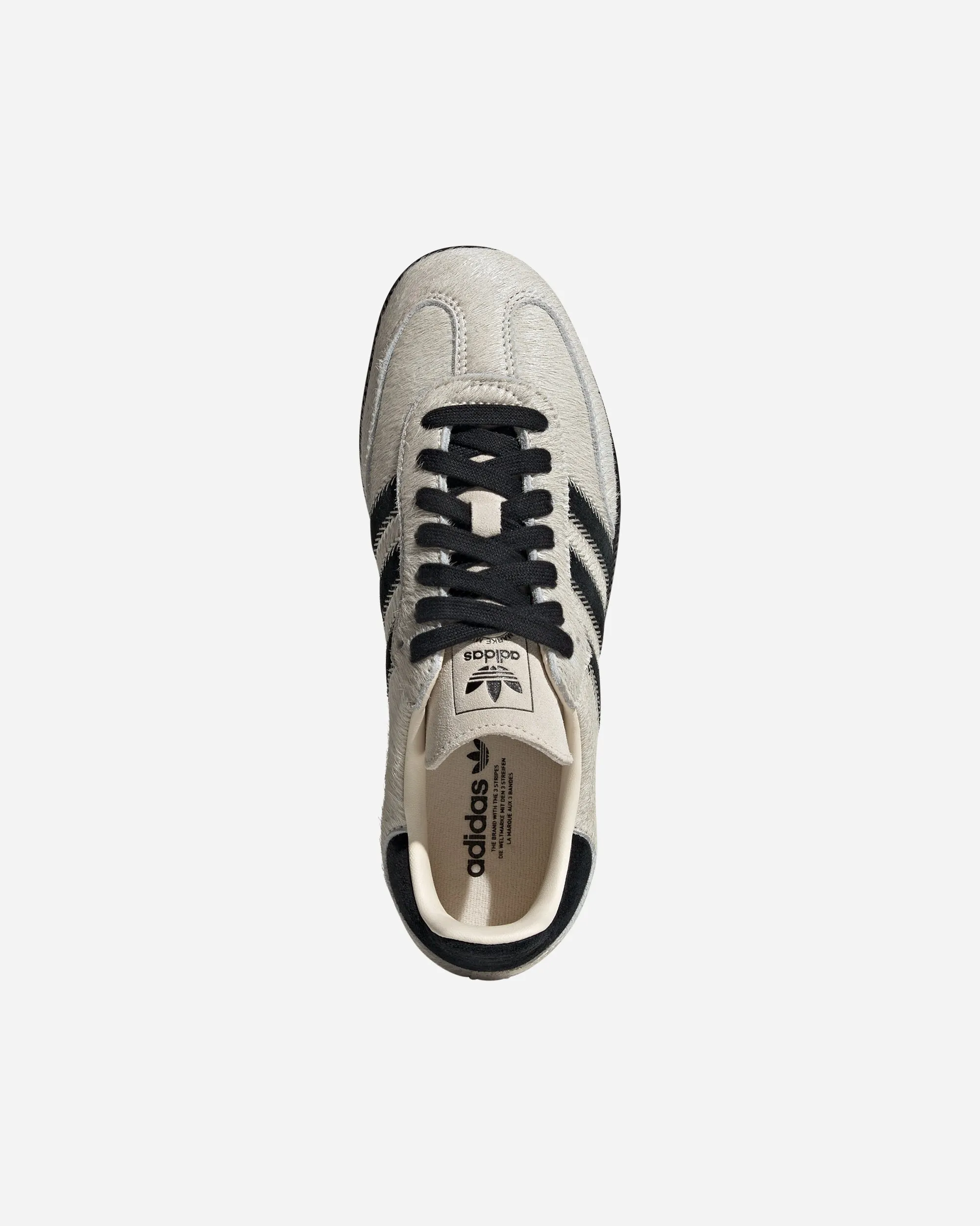 Samba OG
