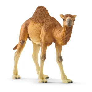 Schleich Dromedary