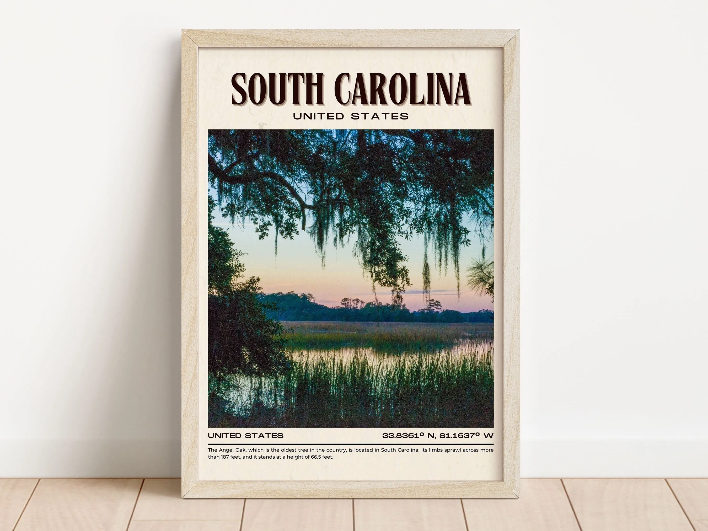South Carolina Vintage Wall Art, USA