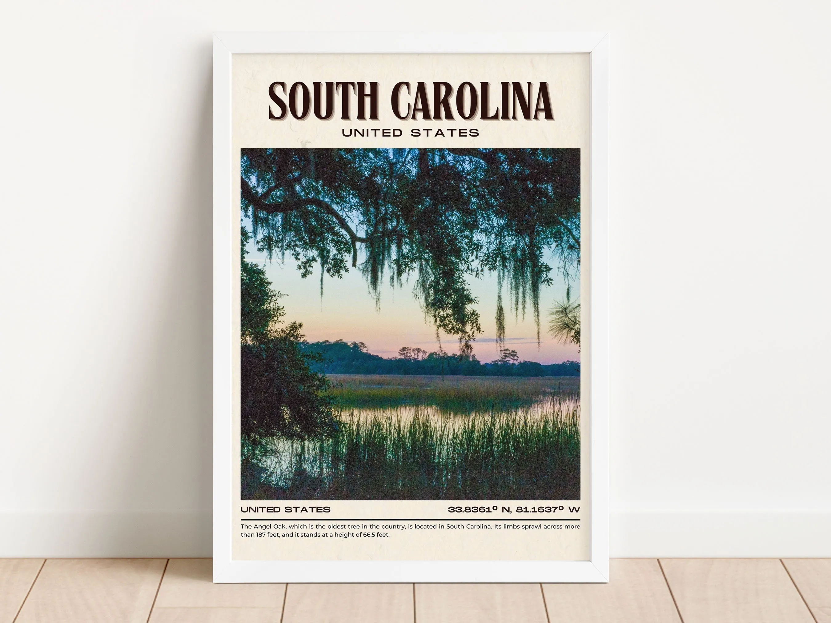 South Carolina Vintage Wall Art, USA