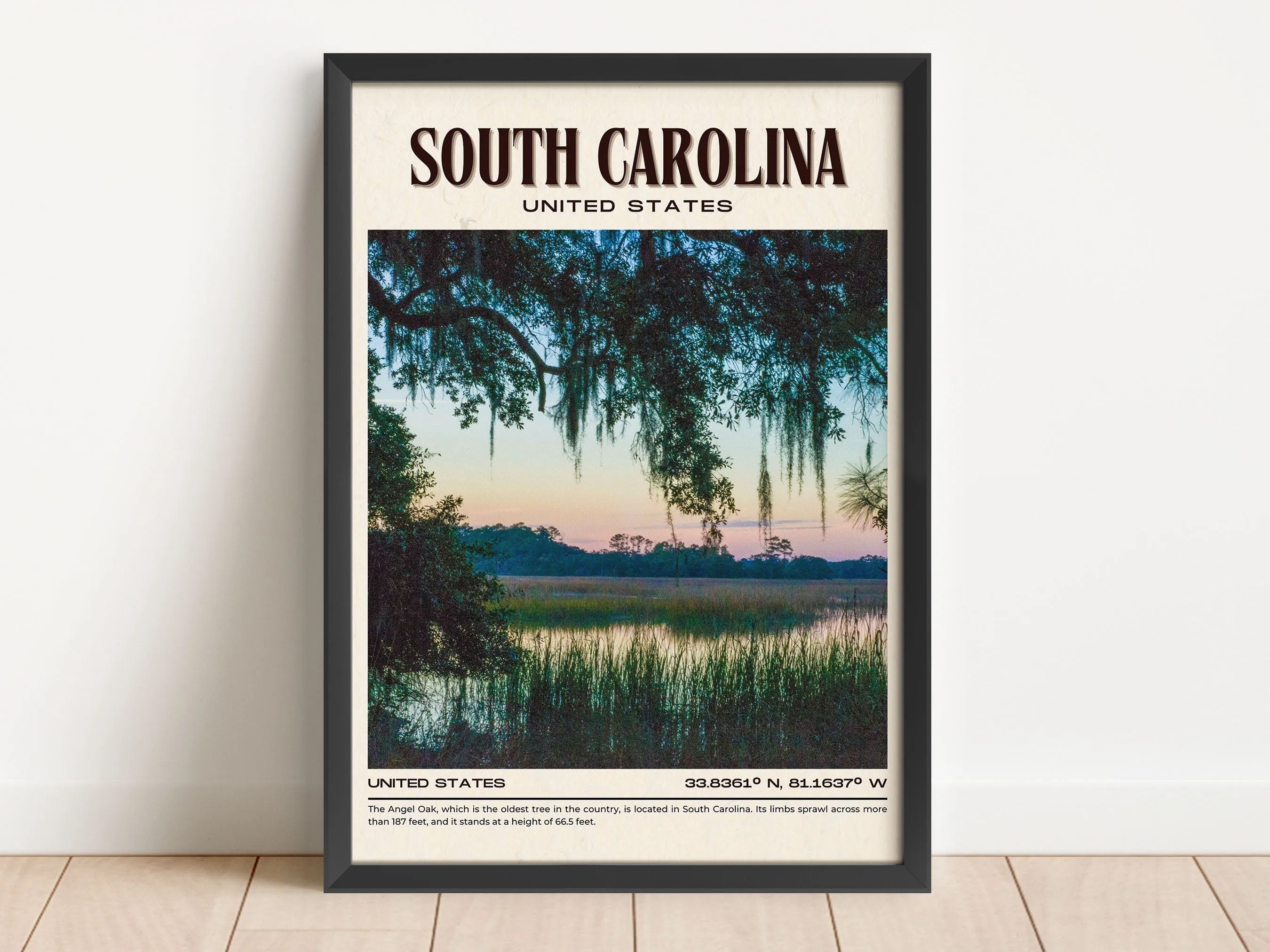 South Carolina Vintage Wall Art, USA