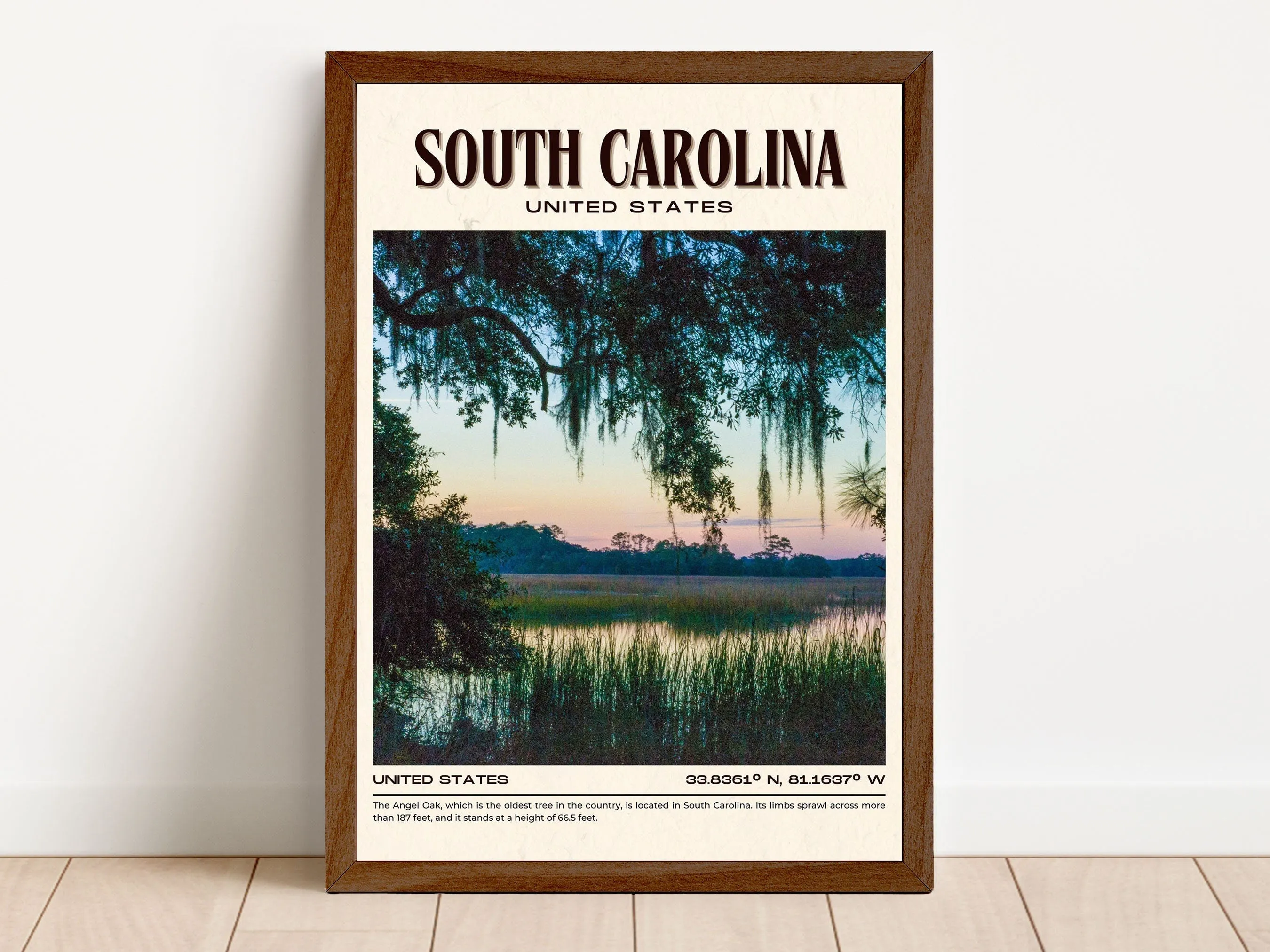 South Carolina Vintage Wall Art, USA