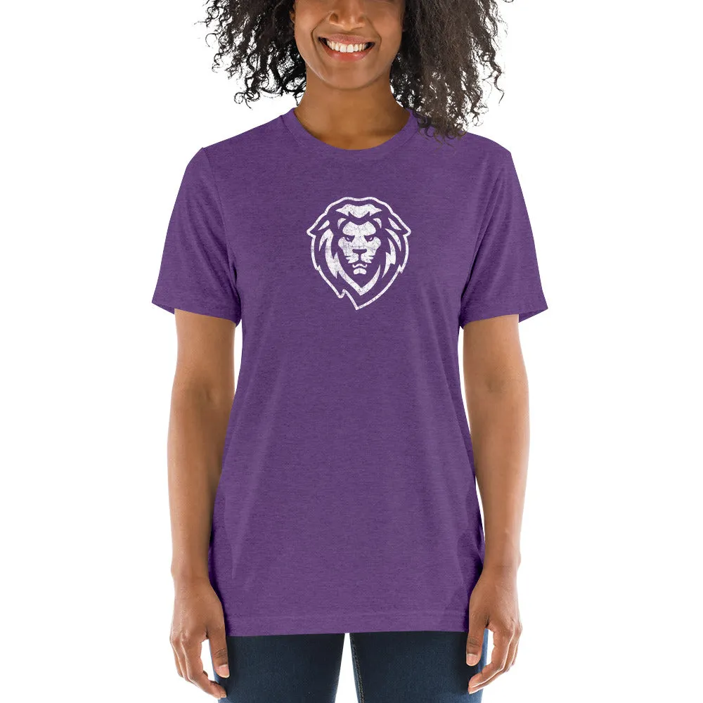 Unisex Tri-Blend T-Shirt / Bella   Canvas 3413