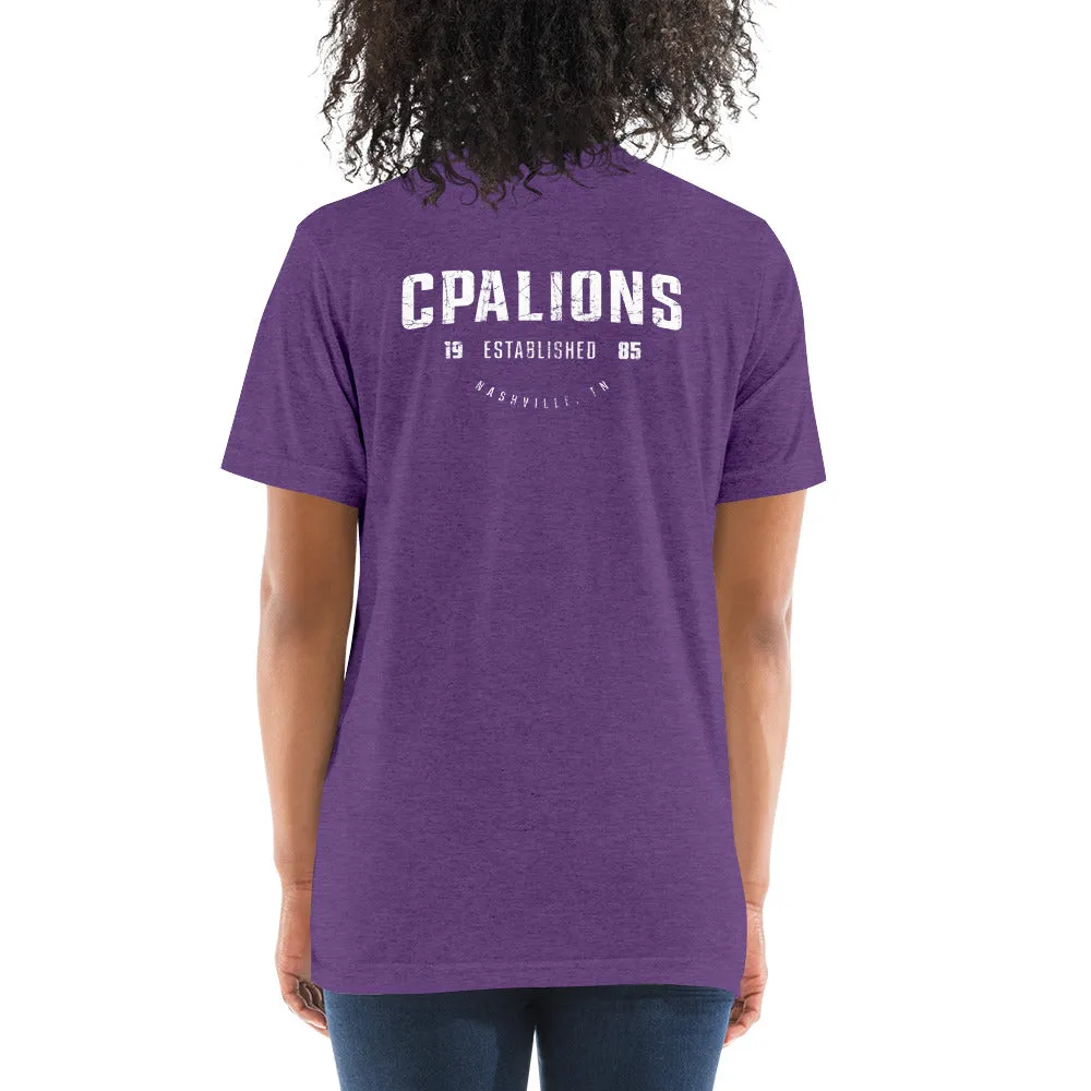 Unisex Tri-Blend T-Shirt / Bella   Canvas 3413