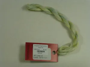 Varigated Impressions 167 Lime Ice