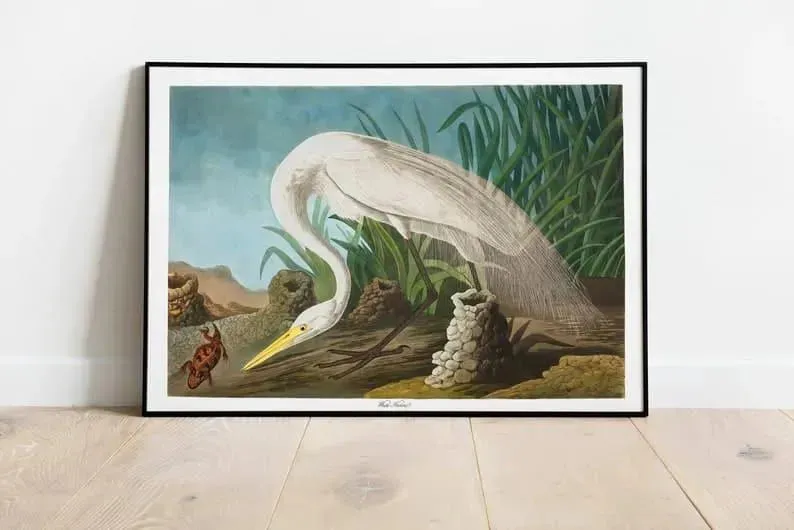 Vintage Bird Art Prints| Bird Poster