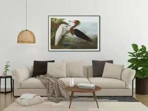 Vintage Bird Art Prints| Bird Poster