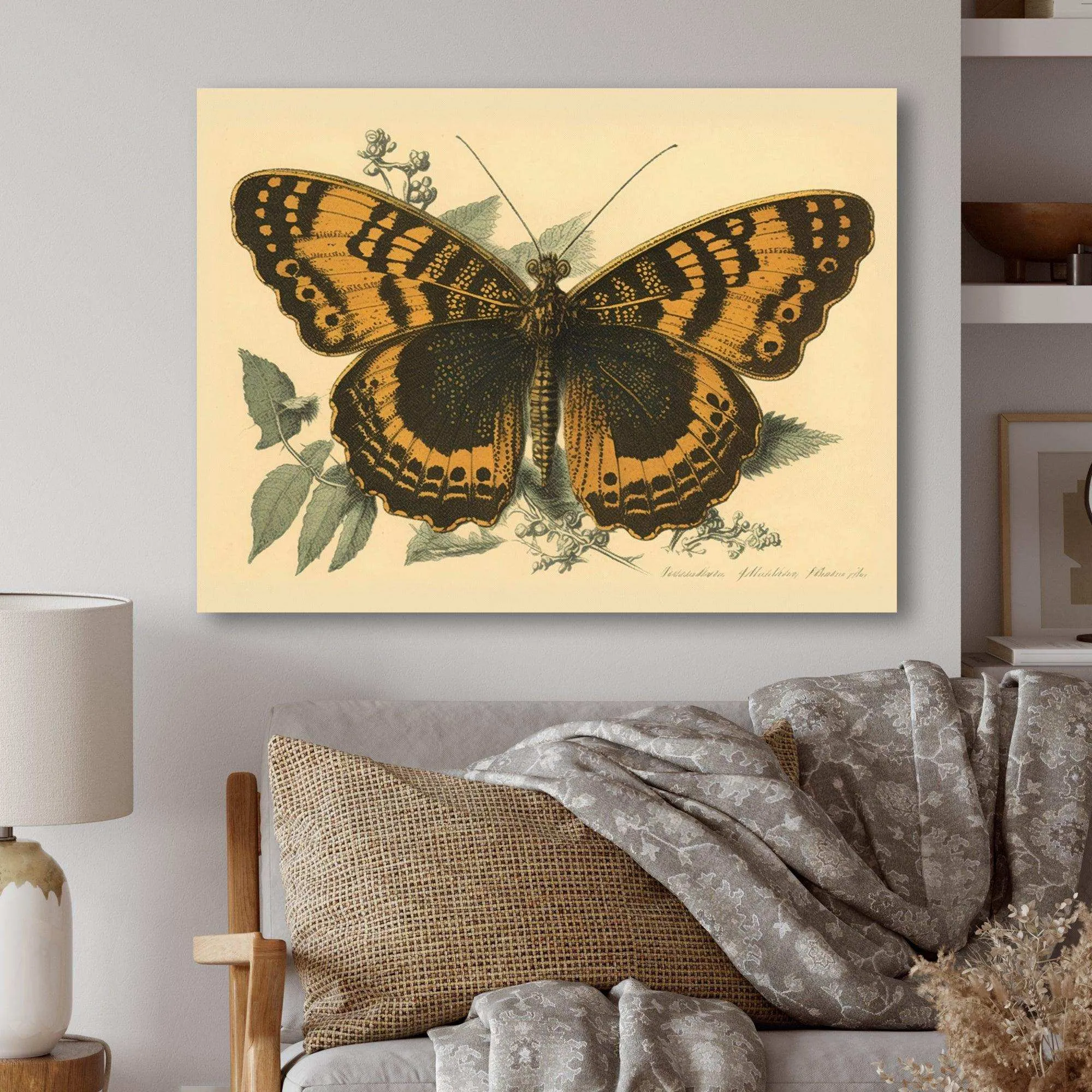 Vintage Illustration Of Butterfly I