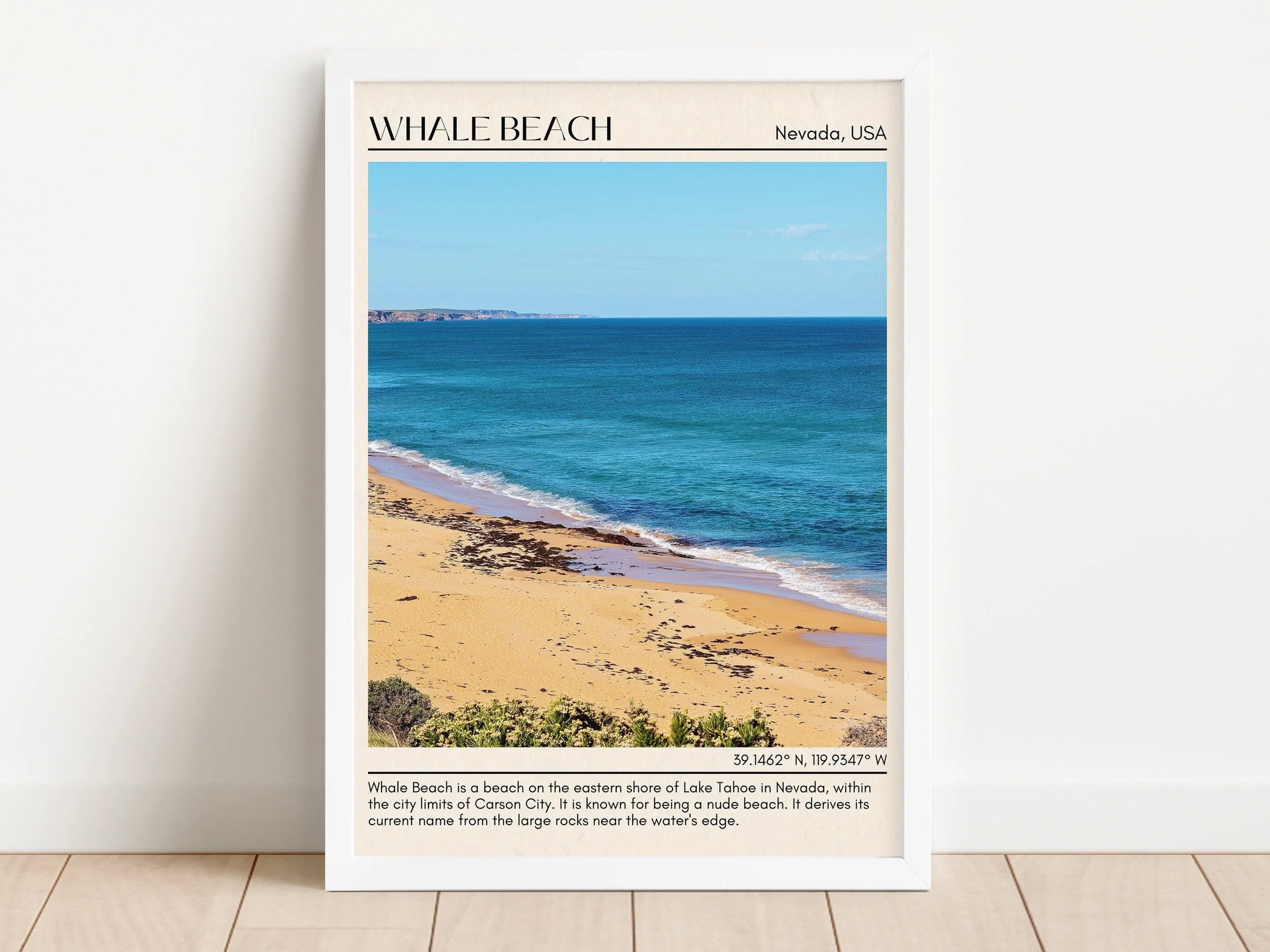 Whale Beach Wall Canvas, USA