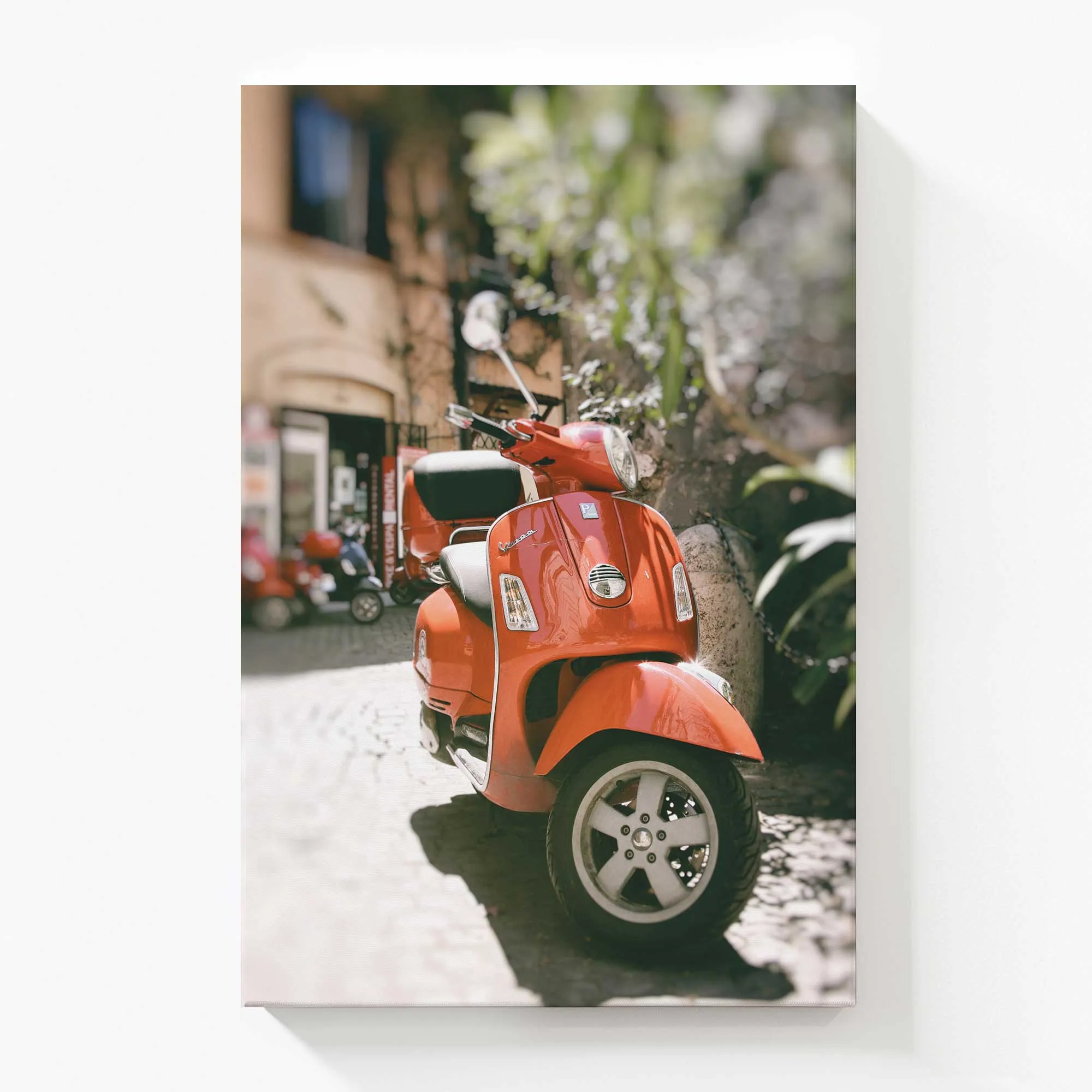 When in Rome Large Canvas Print