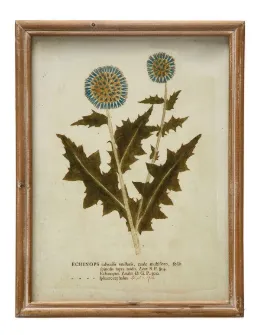 Wood Framed Glass Wall Décor w/ Botanical, Multi Color